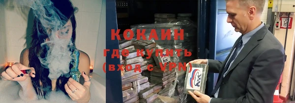 хмурый Аркадак