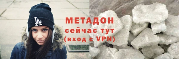 хмурый Аркадак