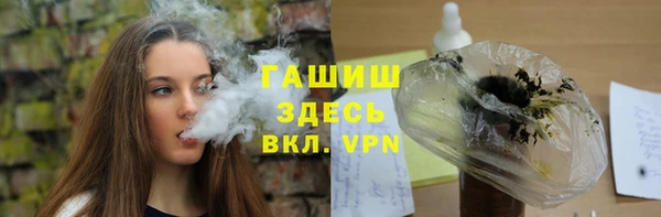 хмурый Аркадак
