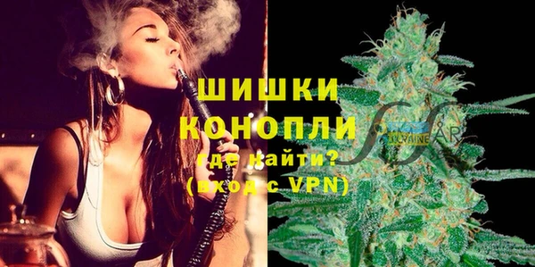 сатива Армянск