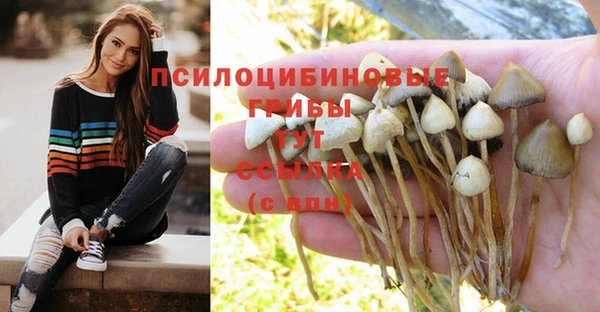 mix Арсеньев