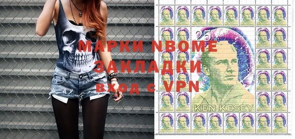хмурый Аркадак