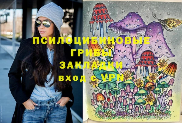 mix Арсеньев