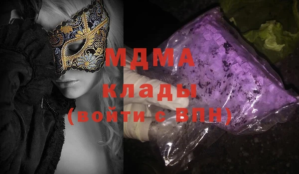 хмурый Аркадак