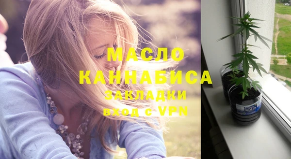 хмурый Аркадак