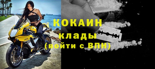 хмурый Аркадак