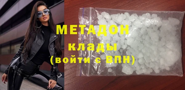 хмурый Аркадак