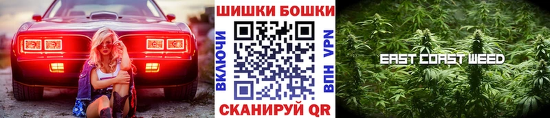 Бошки марихуана OG Kush  Купить закладки  Судак 